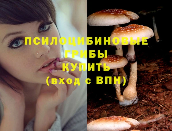 экстази Бронницы