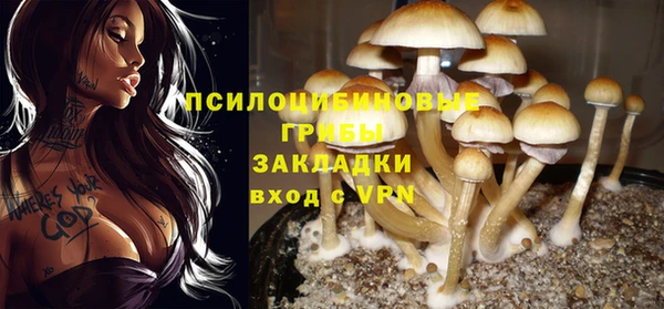 круглые Бородино