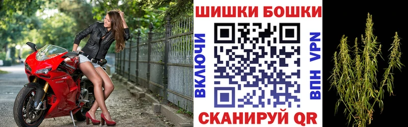 где найти   Кочубеевское  Каннабис марихуана 